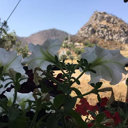 Hisaronu Villas Βίλα